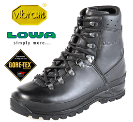 Lowa Mountain GTX